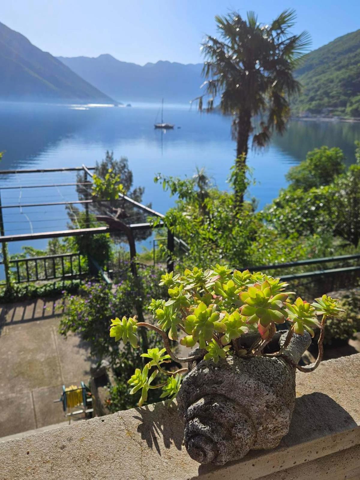 Apartment Capt Seferovic 2 Donji Morinj Dış mekan fotoğraf